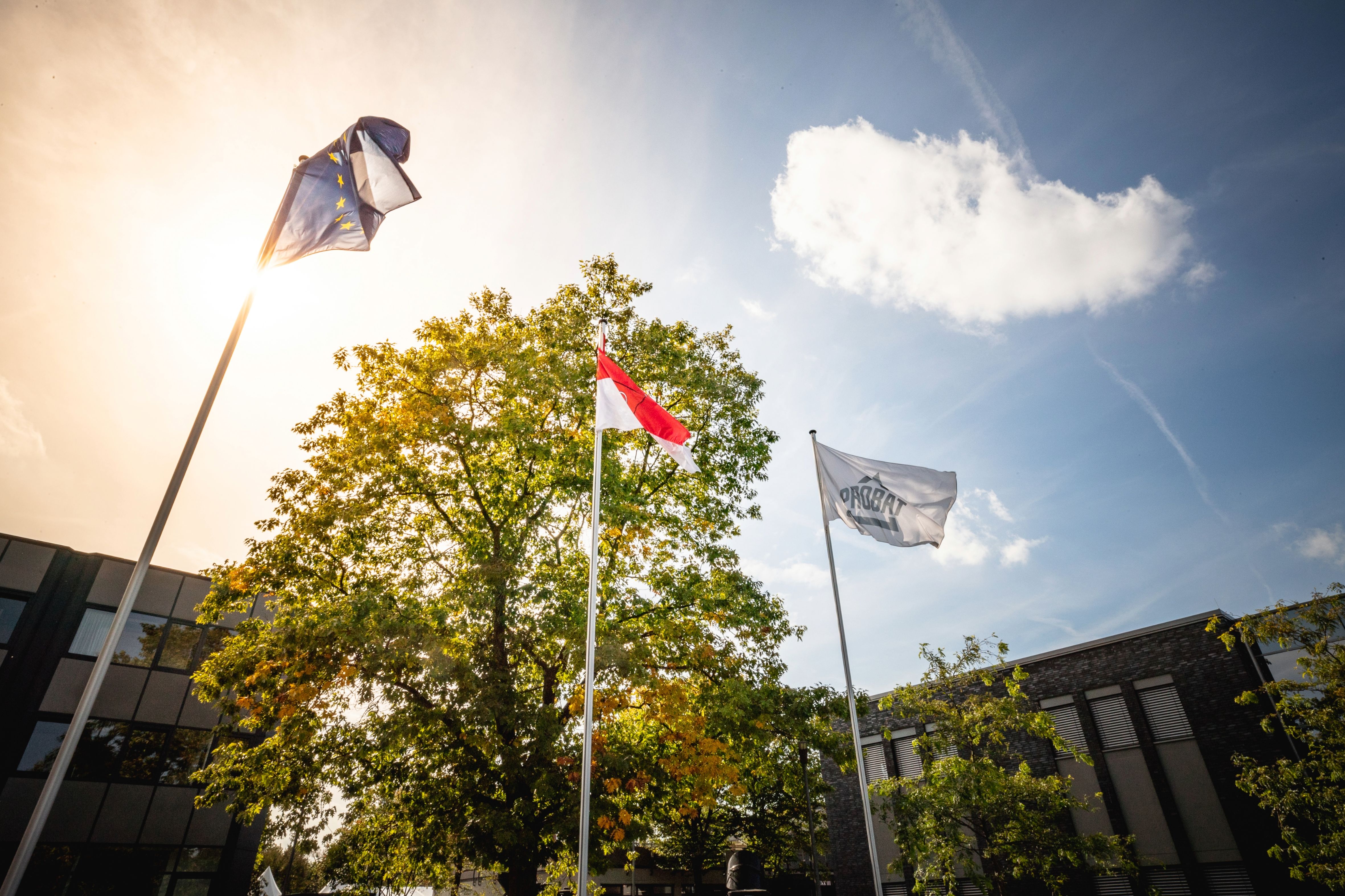 Flags raised in front of a building